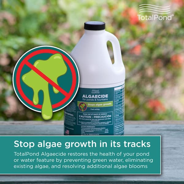 64 oz. Algaecide