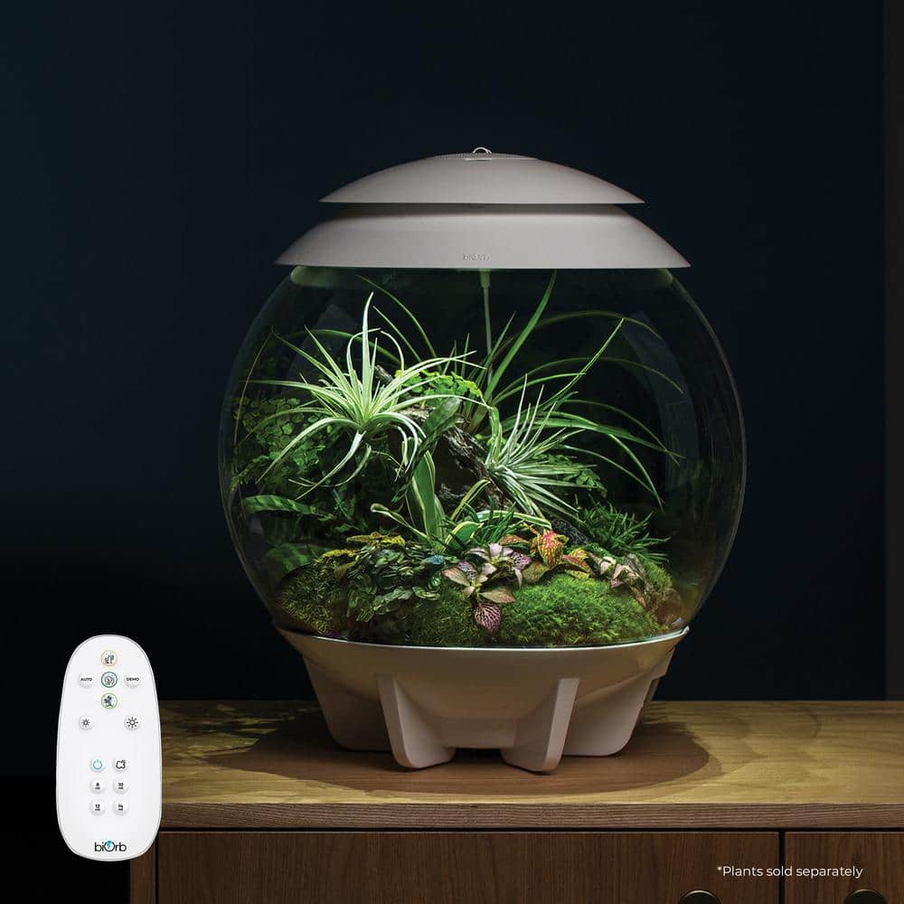 White Acrylic Desktop Terrarium Bowl with Automated Features