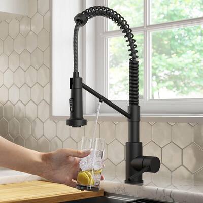 Bolden Single-Handle , Pull-Down Sprayer Kitchen Faucet Water Filtration System in Matte Black