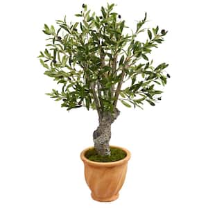 3 ft. High Indoor Olive Artificial Tree in Terracotta Planter