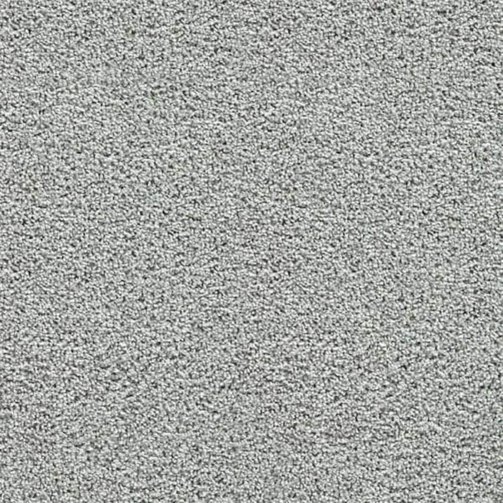 8 in. x 8 in. Texture Carpet Sample-Friendship Fables-Color Loyal price history on PriceWatchPro