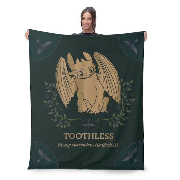 How to Train Your Dragon Hiccup and Toothless Silk Touch Sherpa Multicolor Throw Blanket 50 x 60 in.