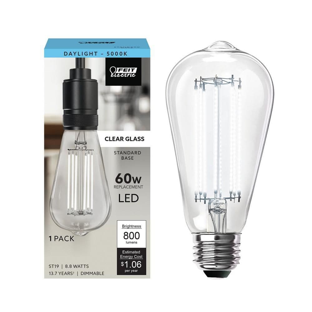 Feit Electric 60-Watt Equivalent ST19 Dimmable Cage Filament Clear