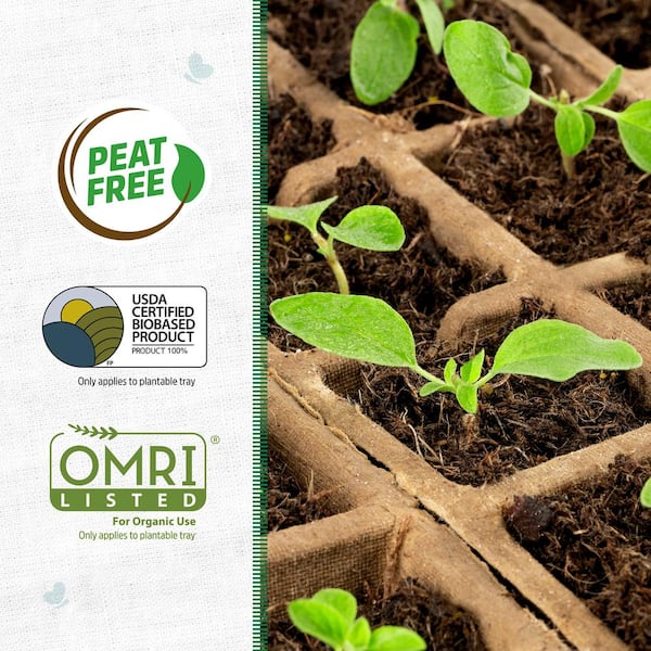 Back to the Roots Greenhouse Germination Seed Starter Kit (50 cell