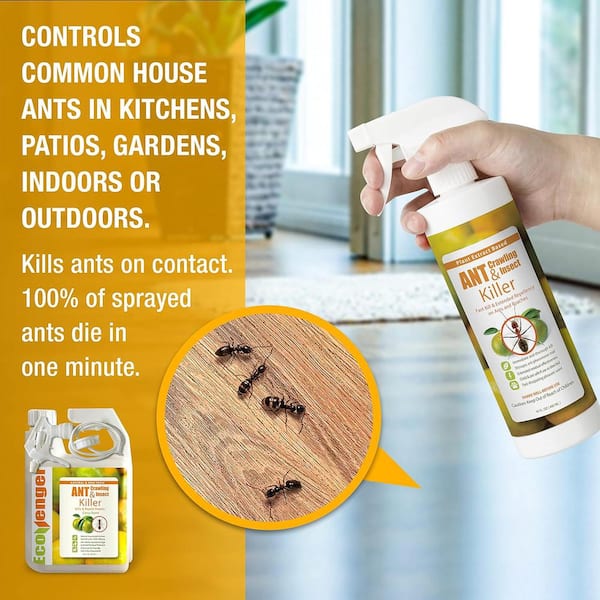 ECOVENGER Ant Insect Killer Repellent by EcoRaider 32OZ Instant Kill 4 Week Deterrence Plant Based Child Pet Safe EH1RM50032 The Home Depot