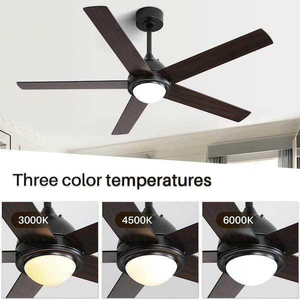 Sofucor 52 in. Indoor/Outdoor 5-Blades Downrod Black Ceiling Fan 