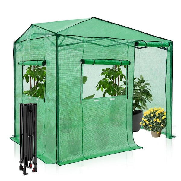EAGLE PEAK 6 ft. W x 8 ft. D Portable Easy Setup Pop Up Walk-in Garden Greenhouse, Green