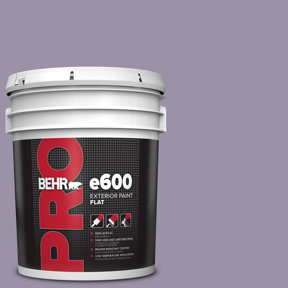 5 gal. #650F-4 Delectable Flat Exterior Paint price history on PriceWatchPro