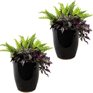 2 Captivating Vista 11 in. Obsidian Ceramic Indoor/Outdoor Planters