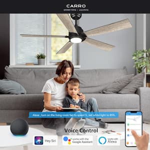 Aspen 60 in. Dimmable LED Indoor/Outdoor Black Smart Ceiling Fan with Light and Remote, Works with Alexa/Google Home