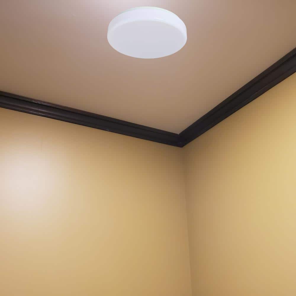 Cool White 11" Glass Drum LED Ceiling Light