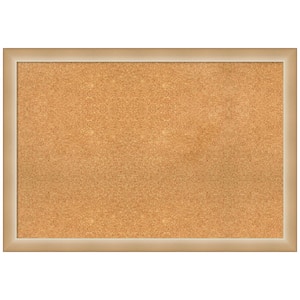 Eva Ombre Gold 39.00 in. x 27.00 in. Framed Corkboard Memo Board