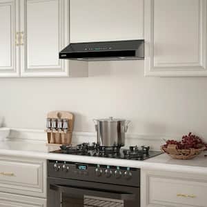 30 in. 900 CFM Ducted Under Cabinet Range Hood in Stainless Steel and Black Glass with Lights