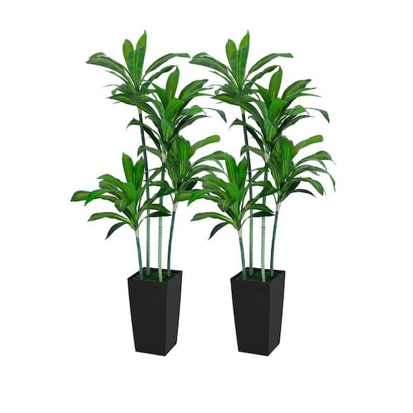 hykolity Dracaena 5 ft. Artificial Dracaena Trees Tall Faux Tree in Black Tall Planter 2-Pack