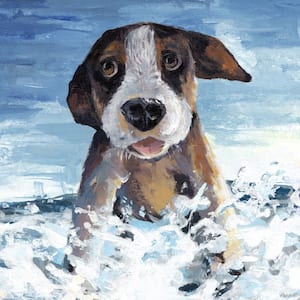 "Carter's Beach Day" by Unframed Canvas Animal Art Print 40 in. x 40 in.
