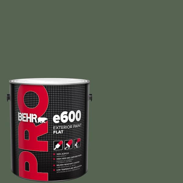 1 gal. #HDC-WR15-11 Deep Emerald Flat Exterior Paint