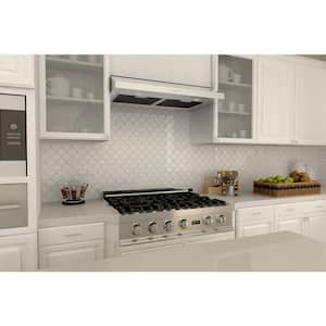 30 in. 280 CFM Ducted Under Cabinet Range Hood in Stainless Steel