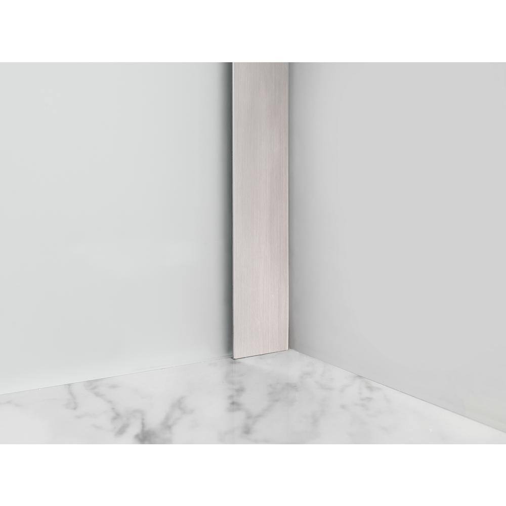 Belmore 73.25" Stainless Steel Frameless Frosted Glass Shower Door