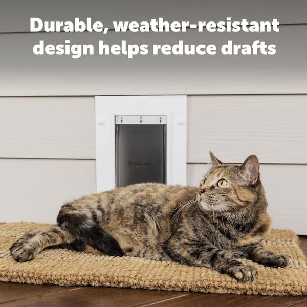 PetSafe 10-3/8 in. x 15-3/8 in. Large Wall Entry White Plastic Pet