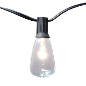 Light Edison Bulb String Lights in Clear (10-Pack)
