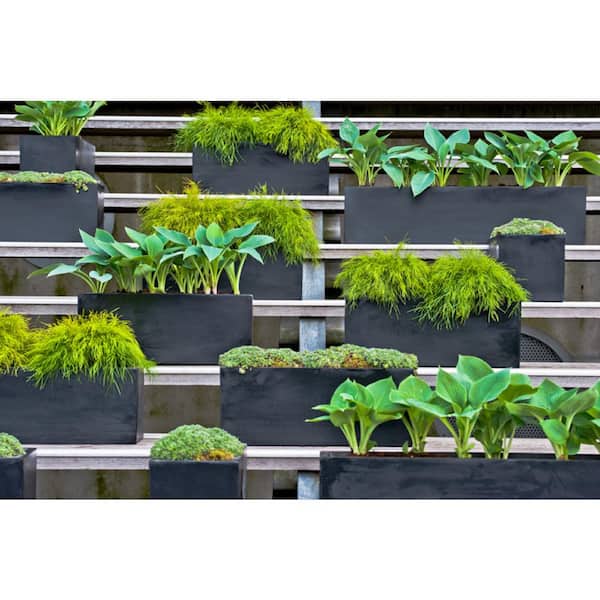 Balcony Extra Large 31.5 in. W Gray Fiberstone Indoor Outdoor Modern Rectangle Planter