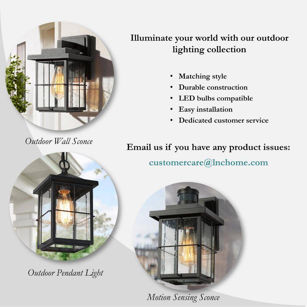 Matte Black Seeded Glass 1-Light Outdoor Pendant Lantern