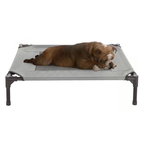 medium raised dog bed