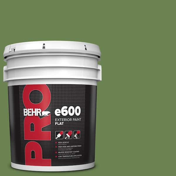 BEHR PRO 5 gal. #430D-6 Happy Camper Flat Exterior Paint