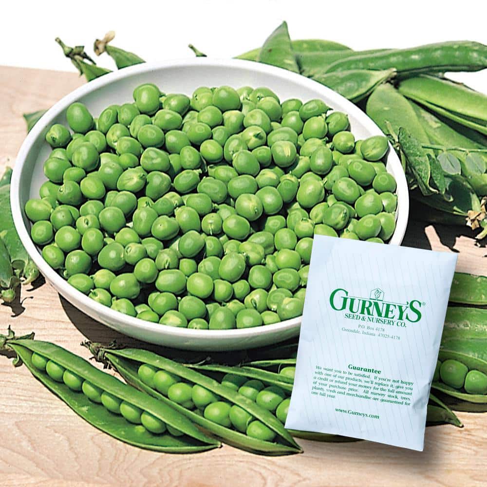 0.50 lb. Pea Little Marvel (Seed Packet) price history on PriceWatchPro