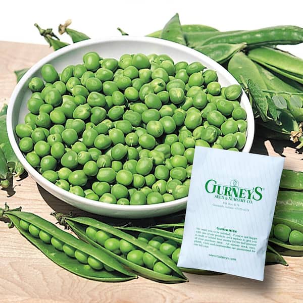 Gurney's 0.50 lb. Pea Little Marvel (Seed Packet)