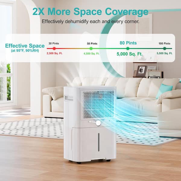 Dehumidifier Smart shops Effective