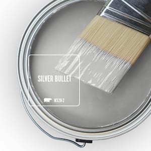 N520-2 Silver Bullet Paint