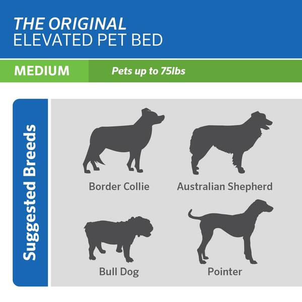 coolaroo dog bed medium