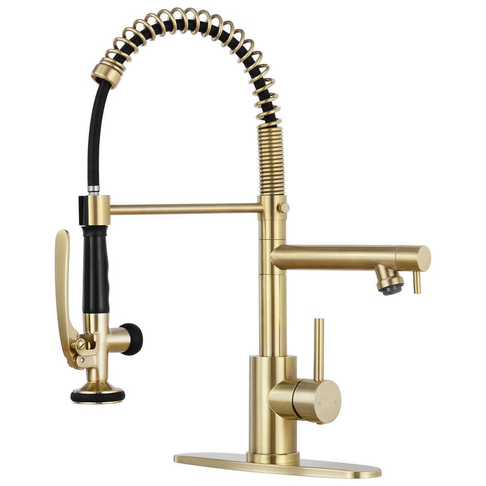 Single Handle 18 in. Dual Function Pull Down Sprayer Kitchen Faucet with Ad