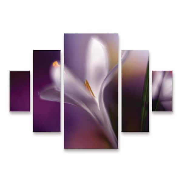 Trademark Fine Art Heidi Westum Midnight Crocus 5-Piece Panel Set Unframed Photography Wall Art 34 in. x 44 in.