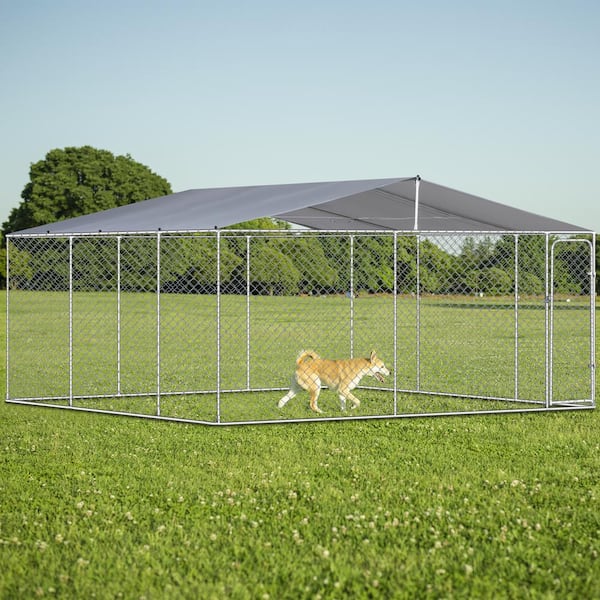 Amazon Backyard Dog Enclosure Amazon Dog House Outdoor Outdoor Dog