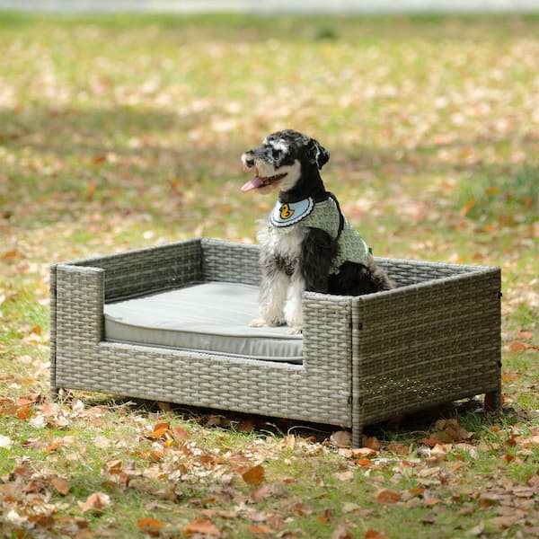 Small 37 in. Beige Pet Sofa Dog Sofa Cat sofa Cat Bed Pet Bed Dog Bed  Rectangle with Movable Cushion and Wood Style Foot SOFAPET-37BEI - The Home  Depot