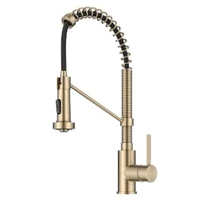 Bolden Single-Handle Pull-Down Sprayer Kitchen Faucet with Dual Function Sprayhead in Spot Free Antique Champagne Bronze