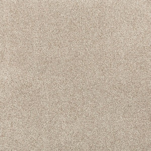 8 in. x 8 in. Texture Carpet Sample - Plush Dreams II -Color Serene