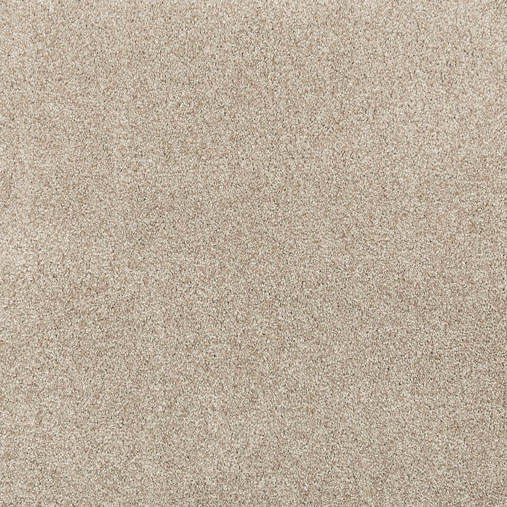 8 in. x 8 in. Texture Carpet Sample - Plush Dreams I -Color Serene price history on PriceWatchPro