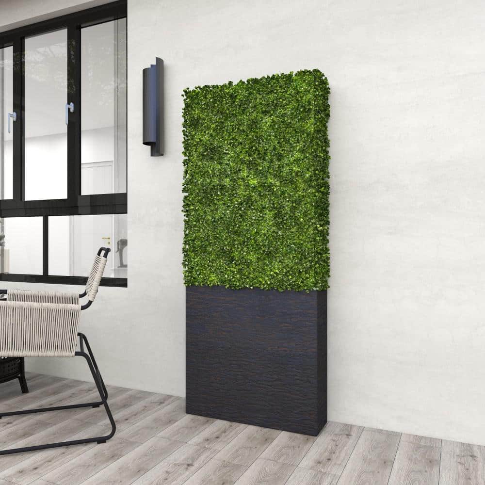 Evergreen Elegance Plastic Boxwood Topiary in Black Cement Planter, 66" Tall