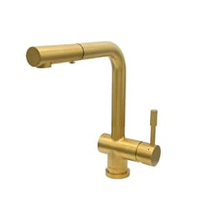 Nassau 1-Handle Pull Out Sprayer Kitchen Faucet (With Spray Feature) in Brushed Gold