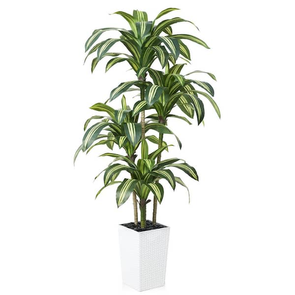 6 ft. Artificial Dracaena Tree White Planter Faux Plant for Home and Office Decor Indoor/Outdoor, Yello-Green Fake Tree