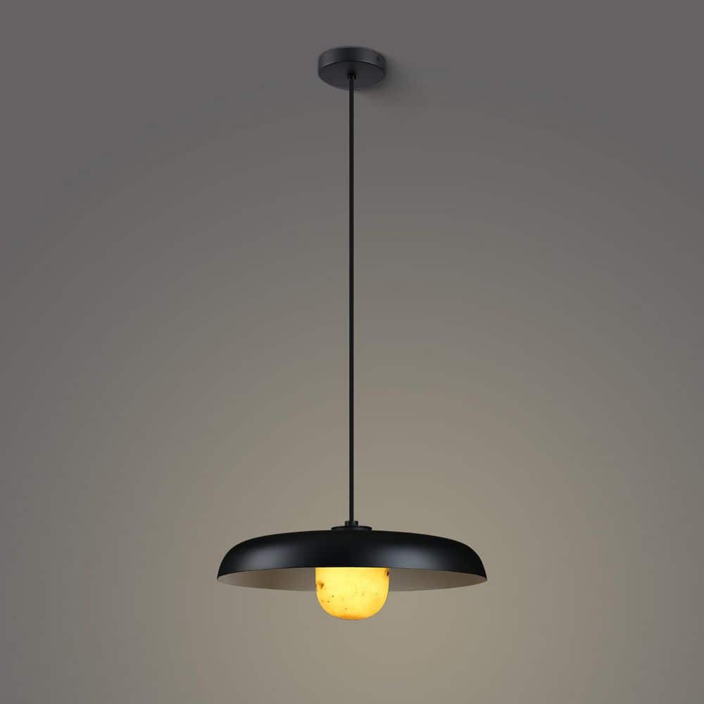 16 in. 1-light Black Modern Pendant Light, Farmhouse Vintage Pendant Light for Kitchen Island, Dining Room, Hallway price history on PriceWatchPro