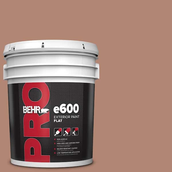 5 gal. #220F-5 Light Mocha Flat Exterior Paint