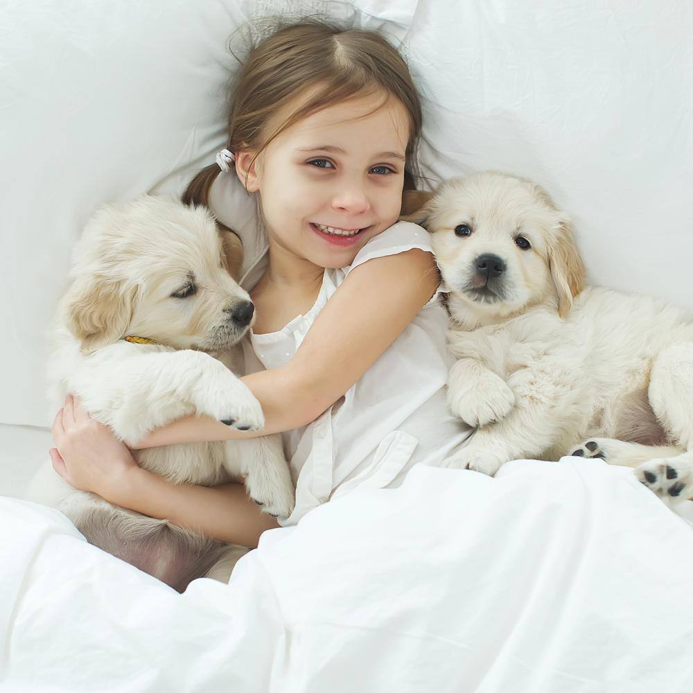Tan Reversible Sherpa Fleece Waterproof Dog Blanket 30x40 Inch