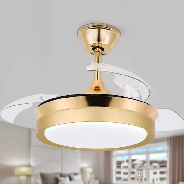 Bella Depot 36 in. Indoor Gold Retractable Ceiling Fan with LED Light and Remote, 6-Speed Reversible Ceiling Fans