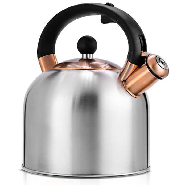 15-Cup Premium Stainless Steel Whistling Stovetop Tea Kettle in Silver with Ergonomic Handle, Composite Base