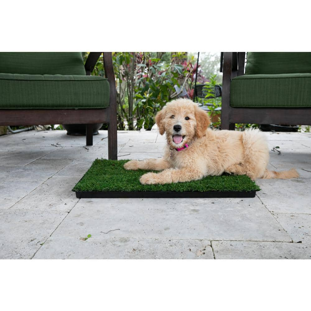 Large Plastic Tray for Fresh Patch Dog Grass Pee Pad