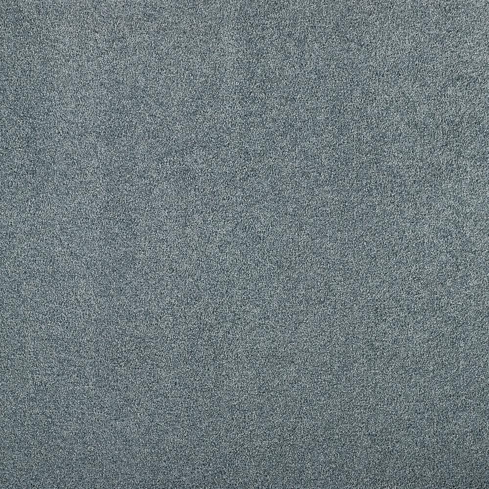 8 in. x 8 in. Texture Carpet Sample - Hainsridge -Color Misty price history on PriceWatchPro